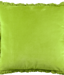 3889 HOUSSE COUSSIN « LIME » 45X45